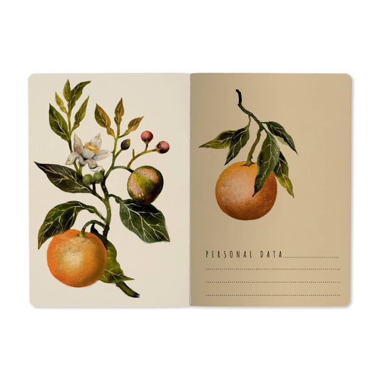 A5 Notebook - Oranges and Blossoms