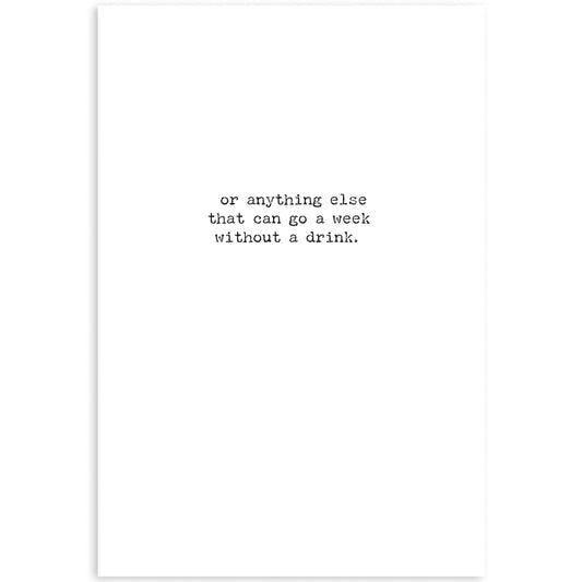 Trust Camels Greeting Card