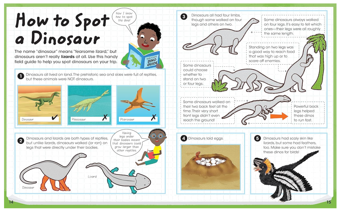 Dinosaur Facts and Activity Book with Stickers for Kids