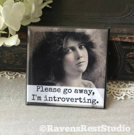 Please Go Away, I'm Introverting. Fridge Magnet. 317