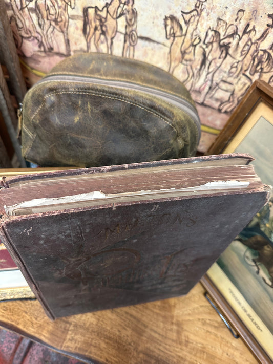 Milton's Paradise Lost