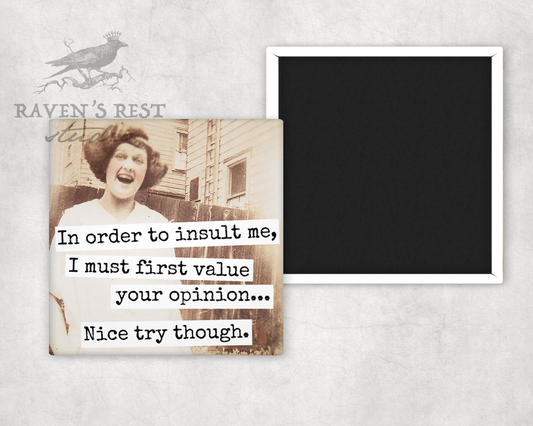 Magnet. In Order To Insult Me, I Must First Value Your...