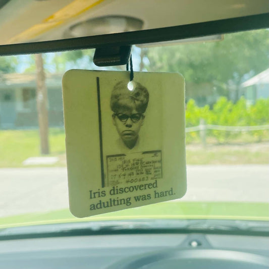 Big House Air Freshener, Car Freshener, Not really a...