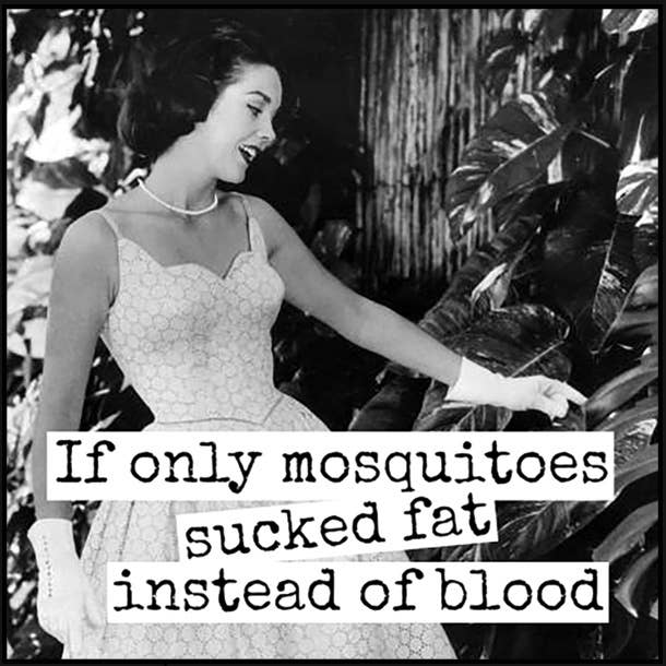 Fridge Magnet. If Only Mosquitoes Sucked Fat...