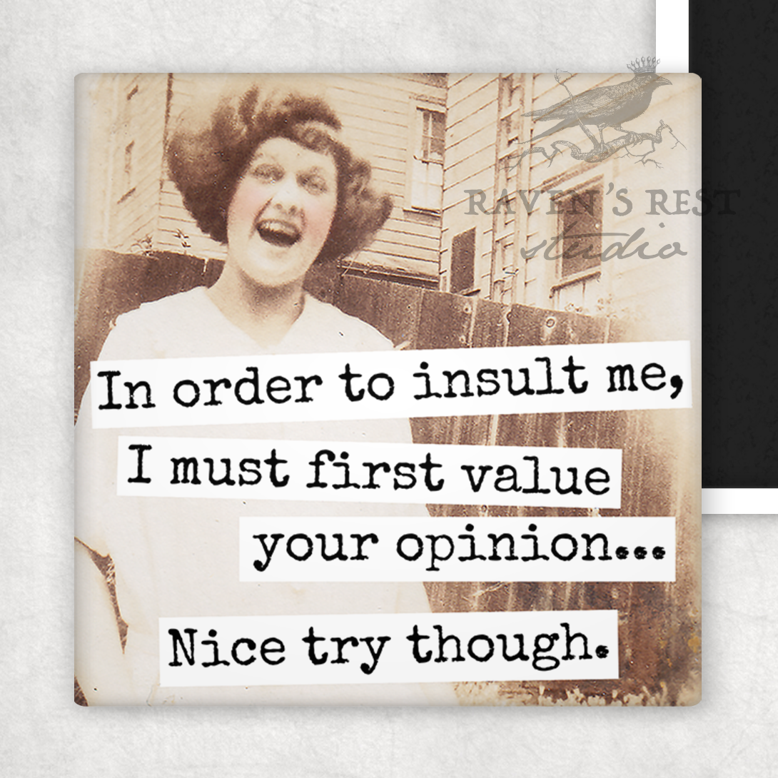 Magnet. In Order To Insult Me, I Must First Value Your...