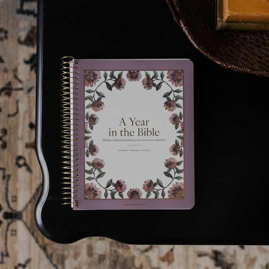 A Year in the Bible | Volume 3 Bible Study
