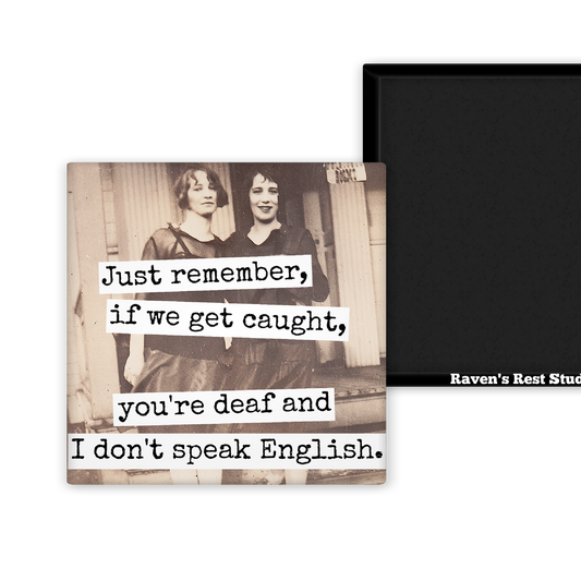 MAGNET. You're Deaf and I Don't Speak English.
