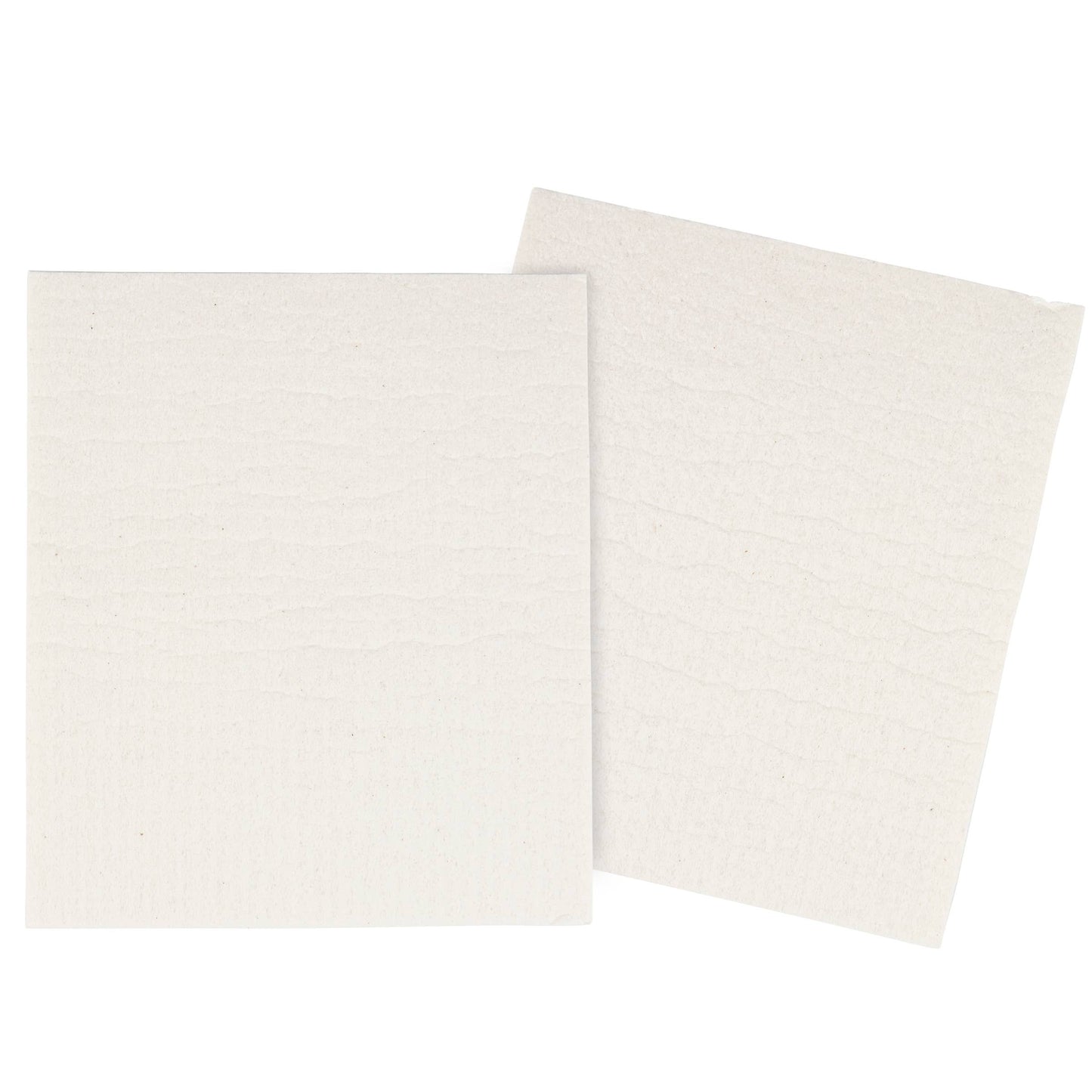 Chewing Loudly Swedish Dishcloth Set