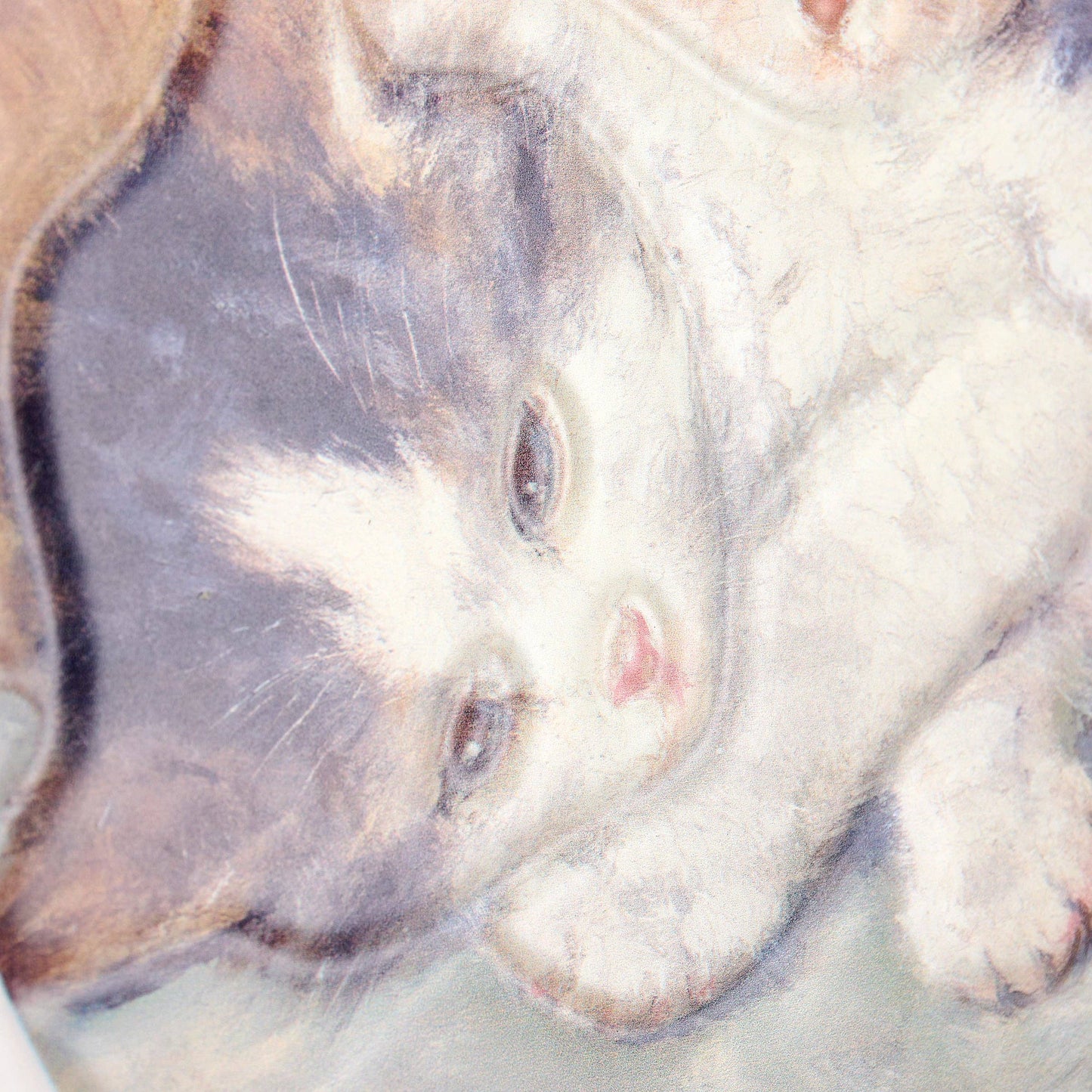 Purrmission Not Required Hanging Decor