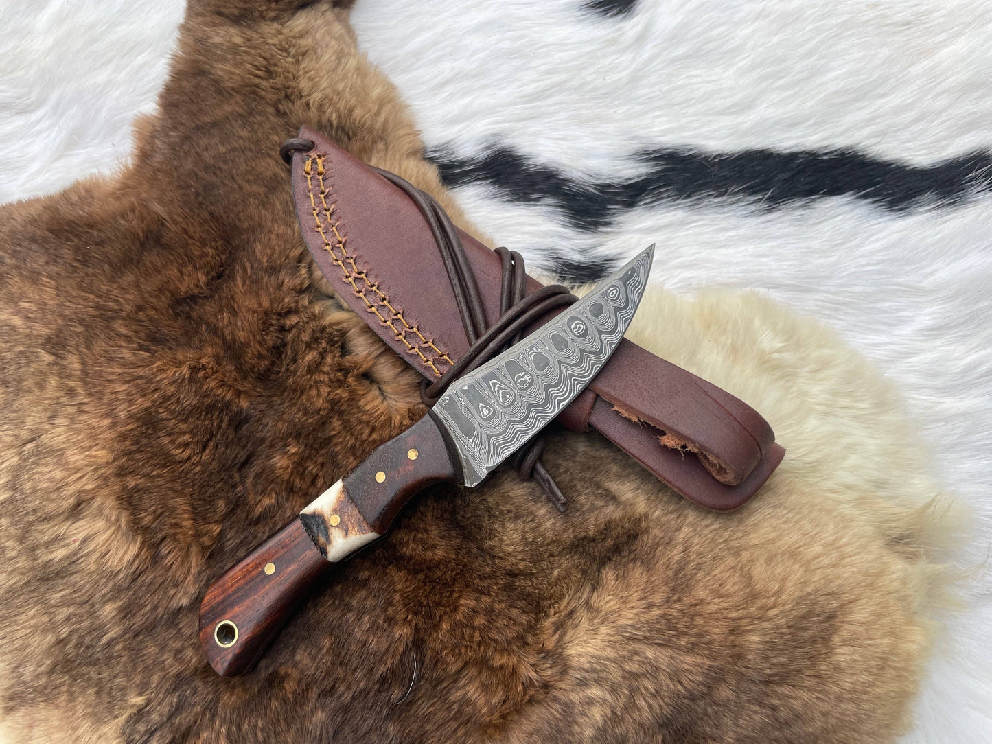 Titan TK-060 Damascus Steel Skinner Knife with Rosewood & Stag Grip