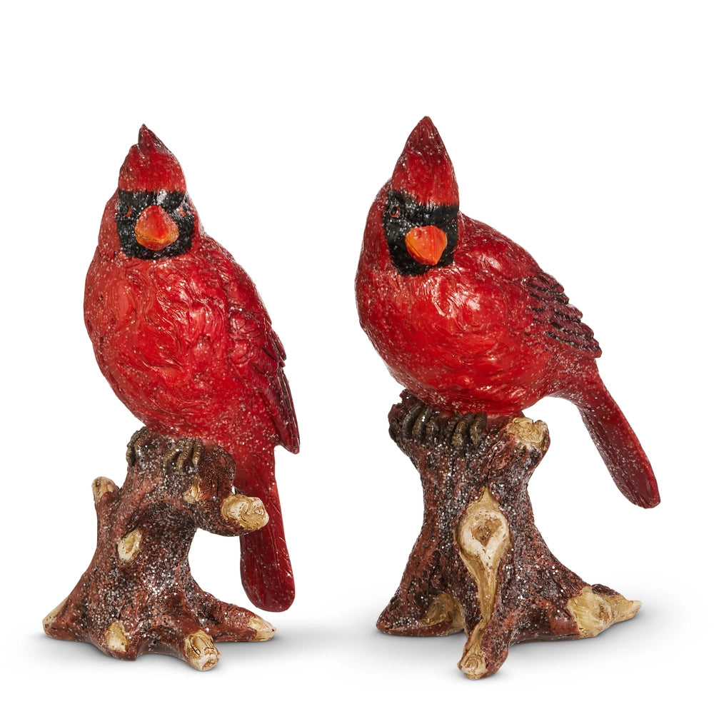 6.5" Cardinal on Branch