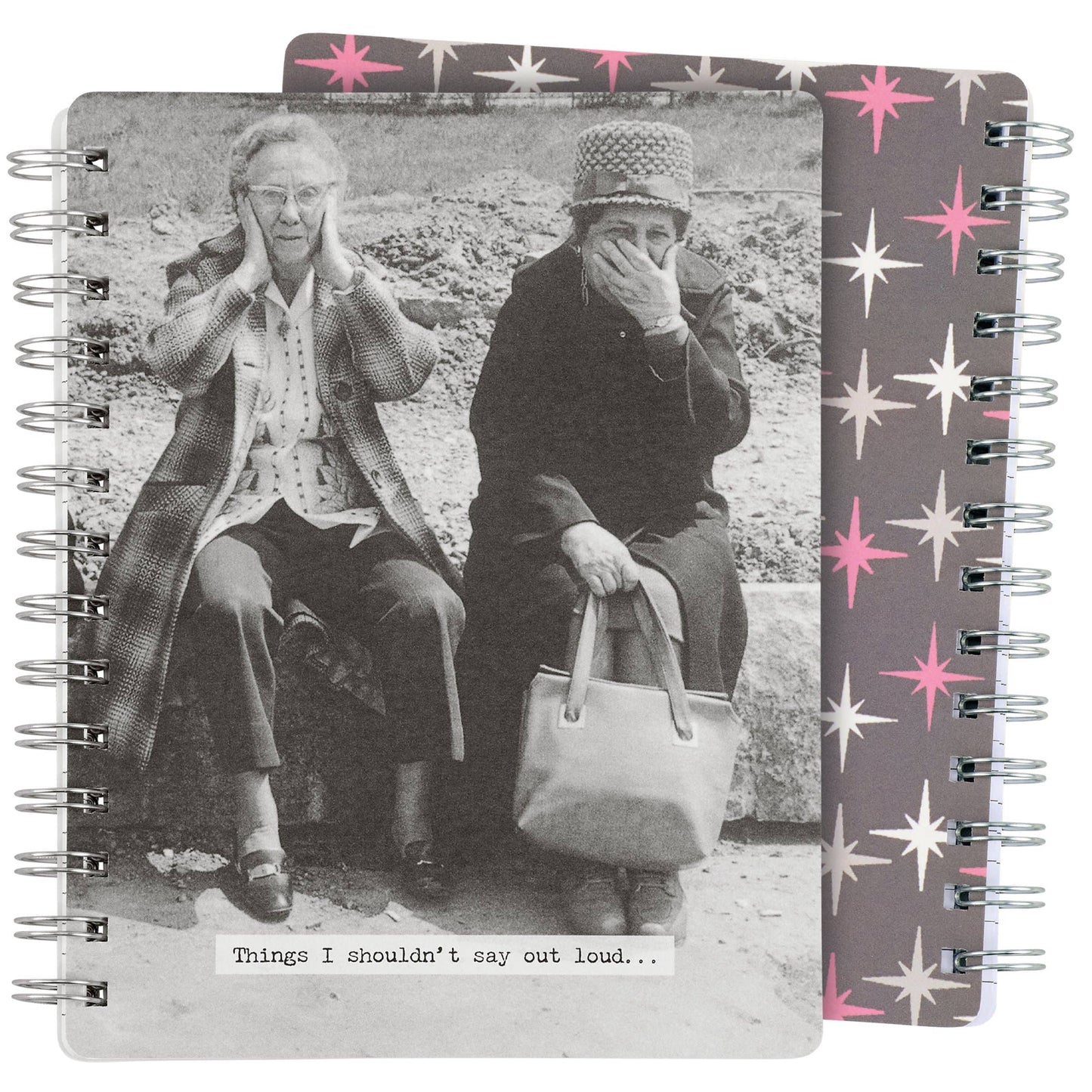 Things I Shouldn't Say Out Loud Spiral Notebook