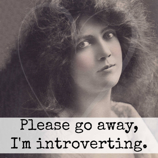 Please Go Away, I'm Introverting. Fridge Magnet. 317