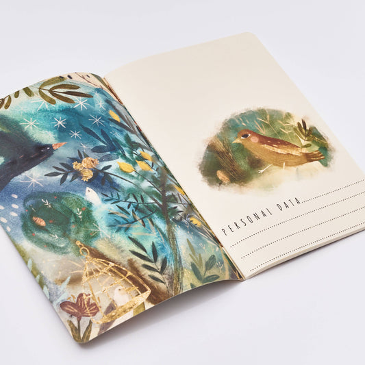 Roman Murals Notebook