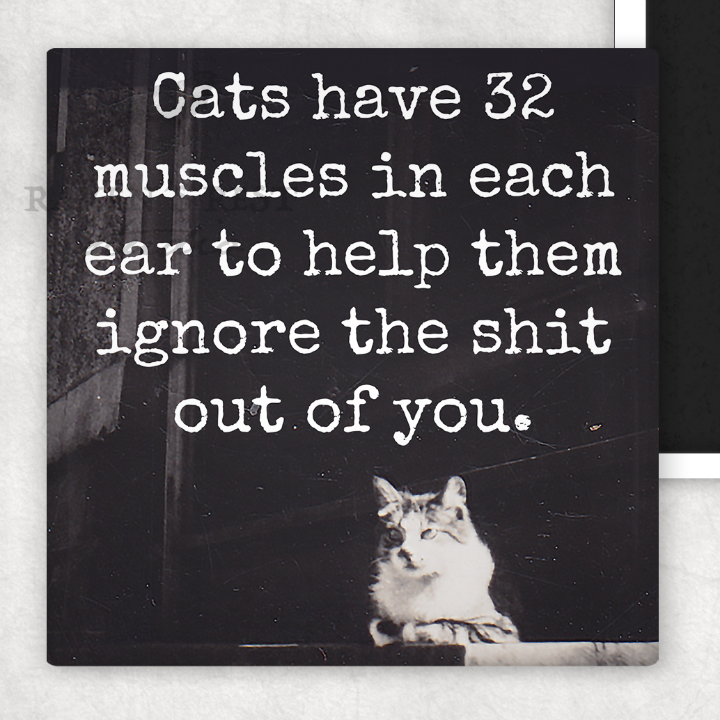 MAGNET. Cats Have 32 Muscles In Each Ear To Help Them Ignore