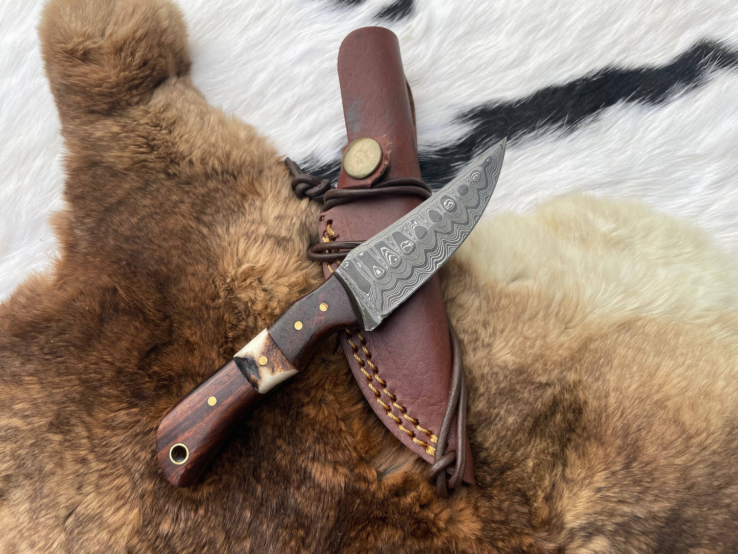 Titan TK-060 Damascus Steel Skinner Knife with Rosewood & Stag Grip