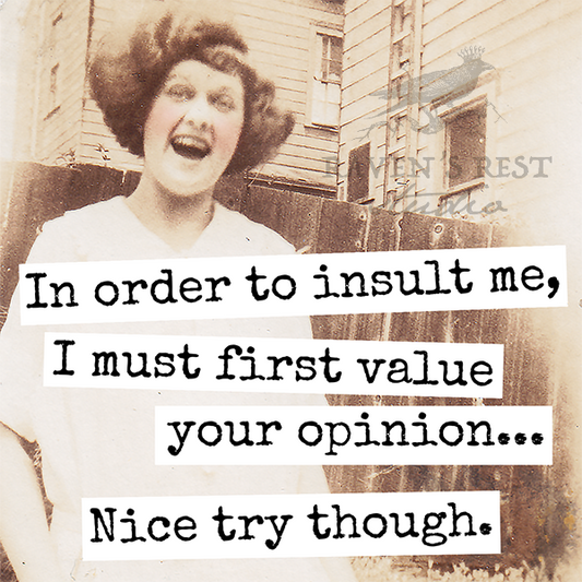 Magnet. In Order To Insult Me, I Must First Value Your...