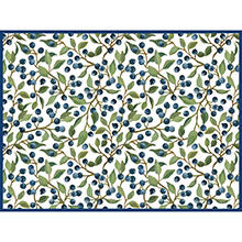Blueberries Drying Mat