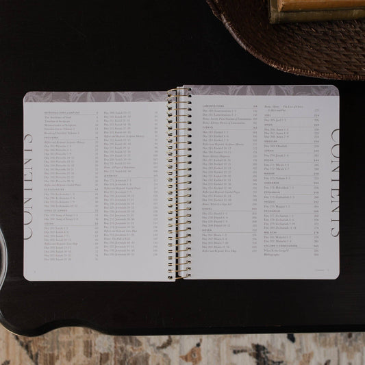 A Year in the Bible | Volume 3 Bible Study