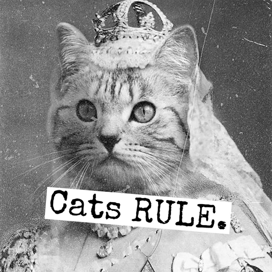 Fridge Magnet. Cats RULE
