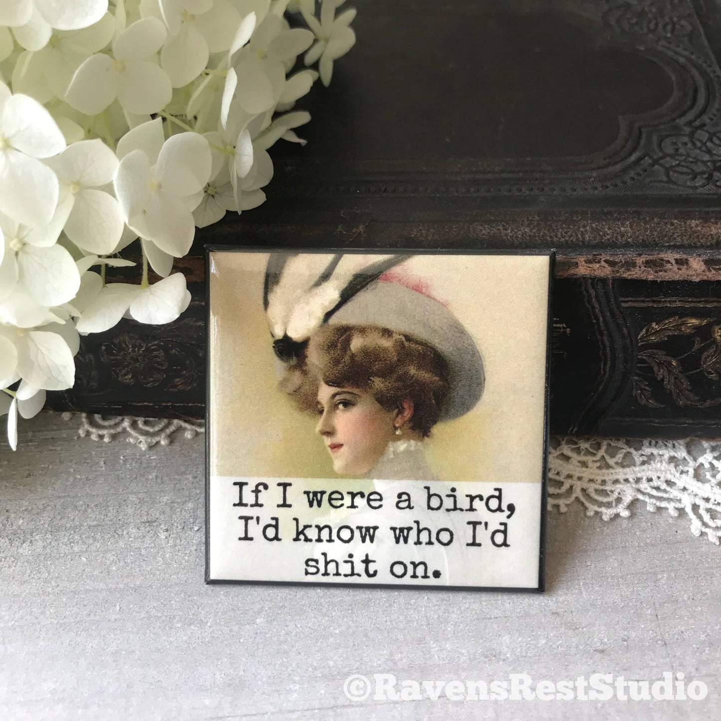 If I Were A Bird, I'd Know... Fridge Magnet. 320