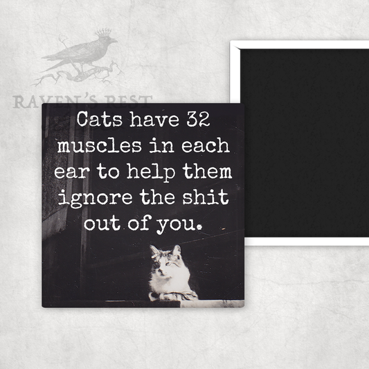 MAGNET. Cats Have 32 Muscles In Each Ear To Help Them Ignore