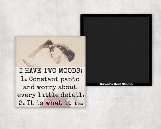 Funny Magnet. I Have Two Moods.