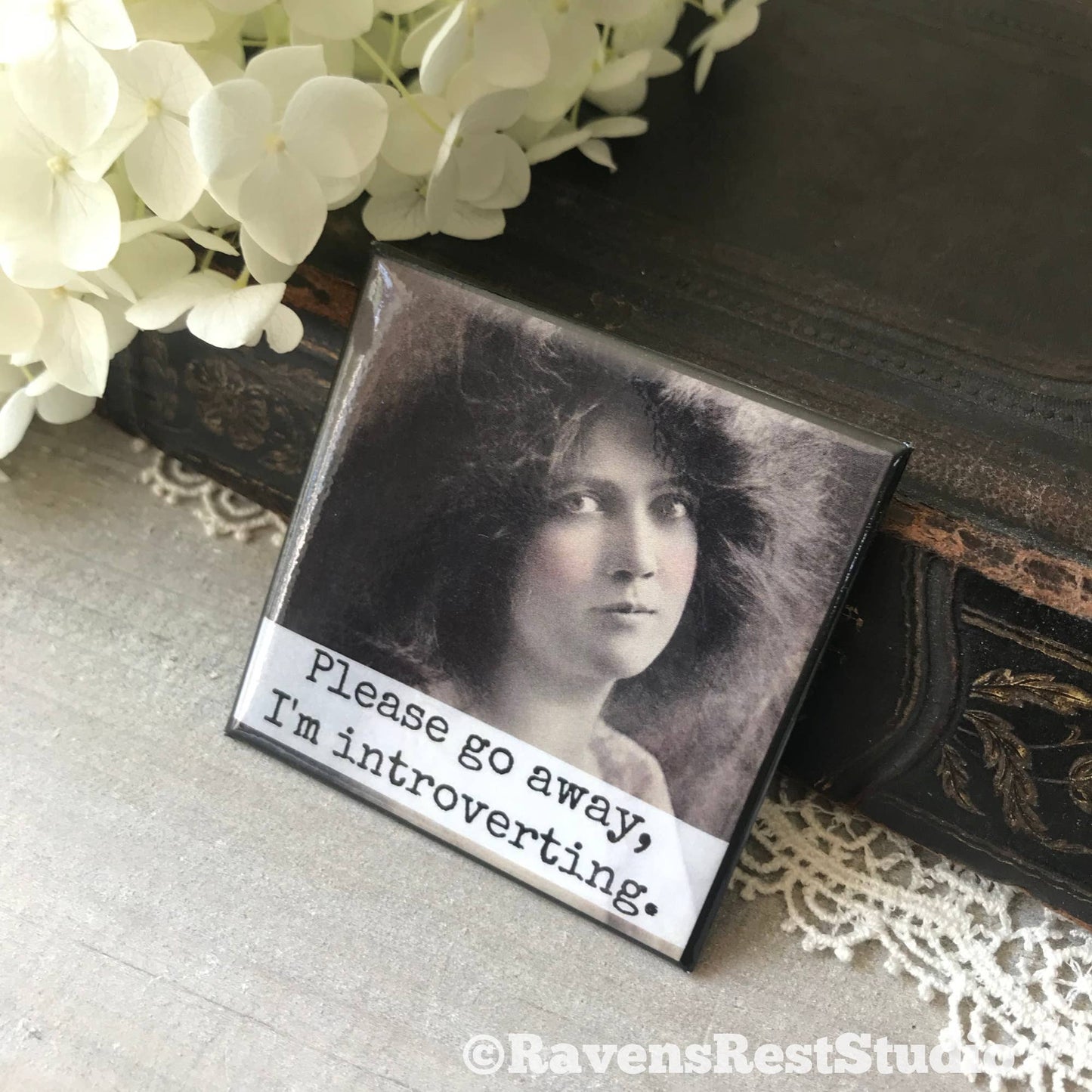 Please Go Away, I'm Introverting. Fridge Magnet. 317