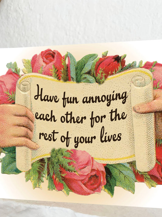 Have Fun Annoying Each Other Funny Wedding Card