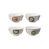Embossed Hand-Painted Bowl with Gold Electroplating