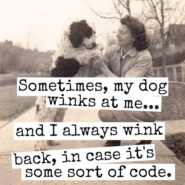 Fridge Magnet.  Sometimes, My Dog Winks At Me...
