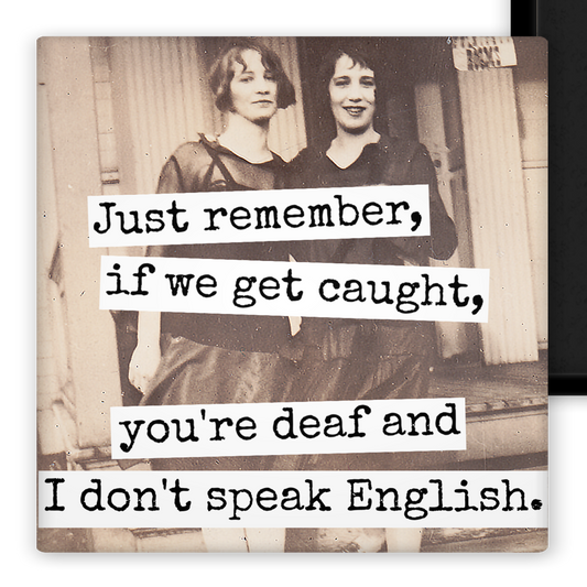 MAGNET. You're Deaf and I Don't Speak English.
