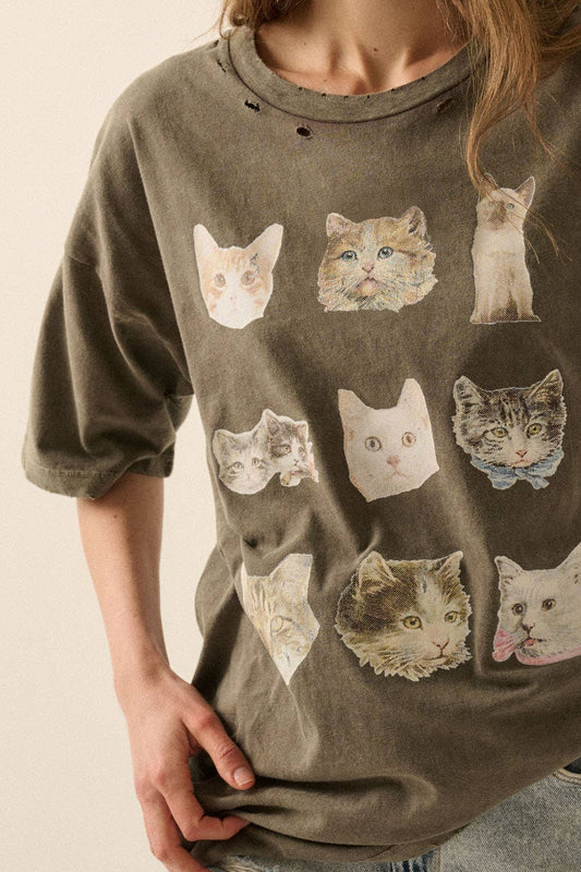 Cat Photos Distressed Oversize Graphic Tee: Iron / L