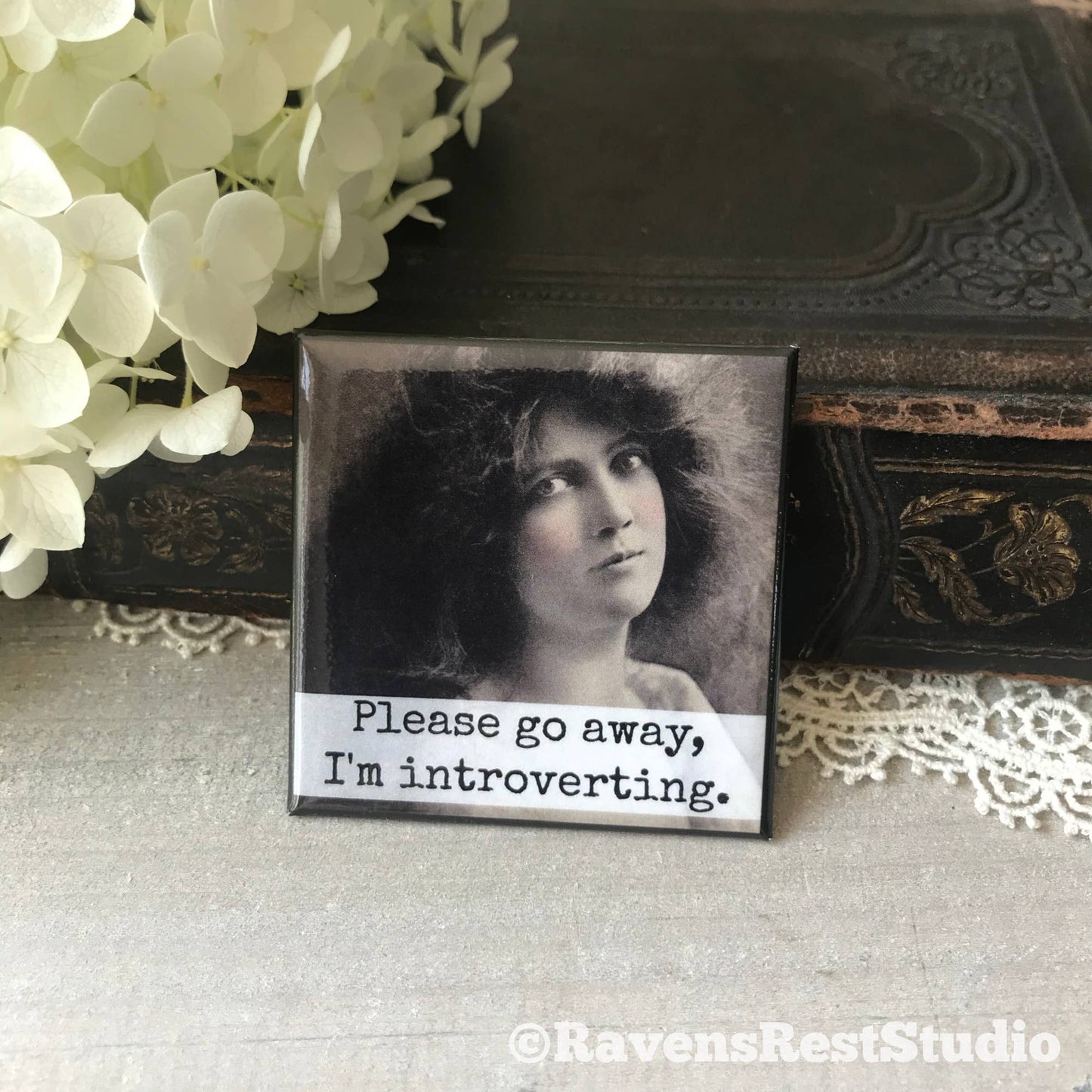 Please Go Away, I'm Introverting. Fridge Magnet. 317